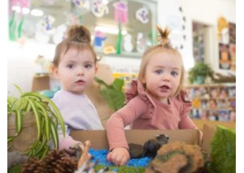 Leading Day Care Dee Why - Dee Why Kindergarten - 3/4