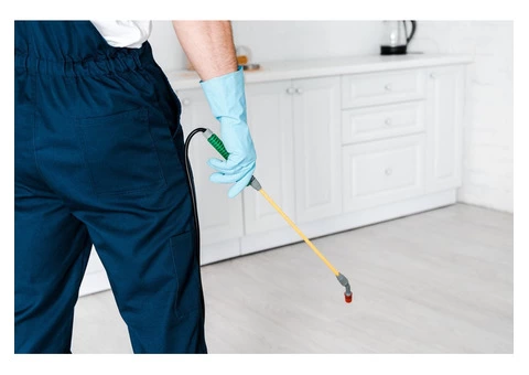 Cbd Pest Control Adelaide - 2/3