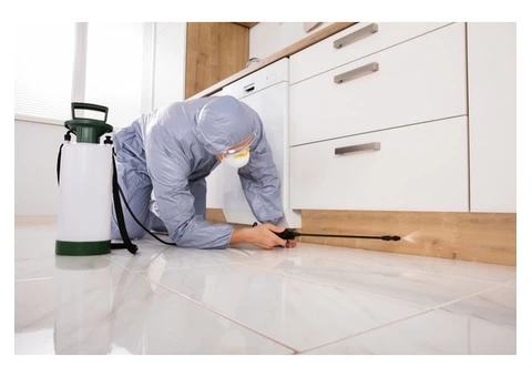 Pest control Services Hobart