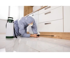 Pest control Services Hobart