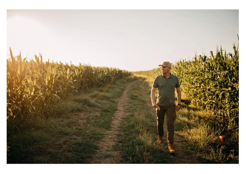 Wondering How to Improve Your Crop’s Health?