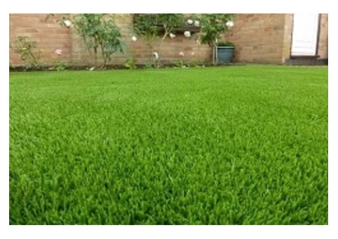 Best Artificial Grass in Melbourne - Grass1