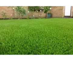 Best Artificial Grass in Melbourne - Grass1