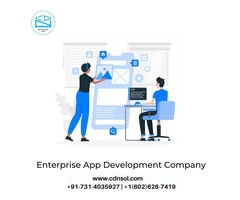Hire CDN Solution an enterprise app development company USA