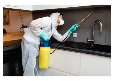 Pest control Services Near Me