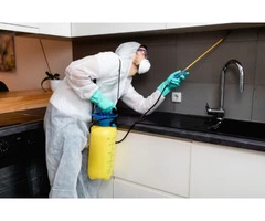 Pest control Services Near Me