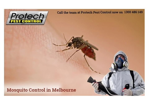 Same Day Mosquito Control in Melbourne at Best Price
