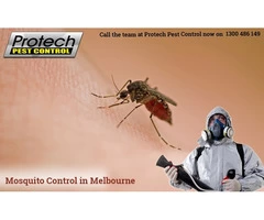 Same Day Mosquito Control in Melbourne at Best Price