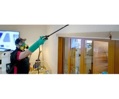 Termites Brisbane | Thelocalguyspestcontrol.com.au