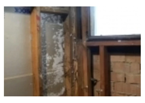 Does Your Property Need Termite Treatment?