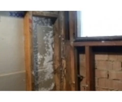 Does Your Property Need Termite Treatment?