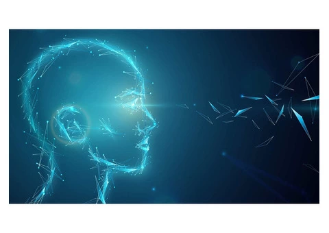 A BEGINNER’S GUIDE TO NARROW AI