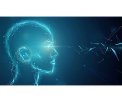 A BEGINNER’S GUIDE TO NARROW AI