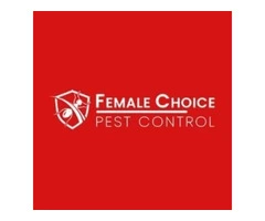 Pest Control Brisbane