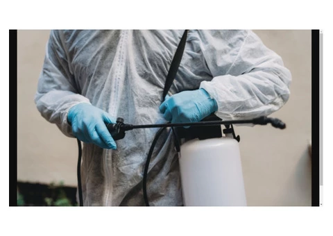 Expert Pest Control Canberra