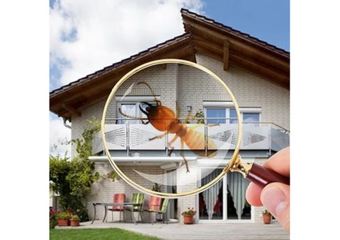 Pest Control Buderim - 1/4