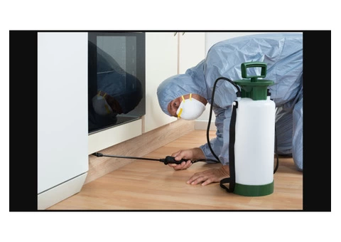 Pest Control Adelaide