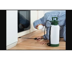 Pest Control Adelaide