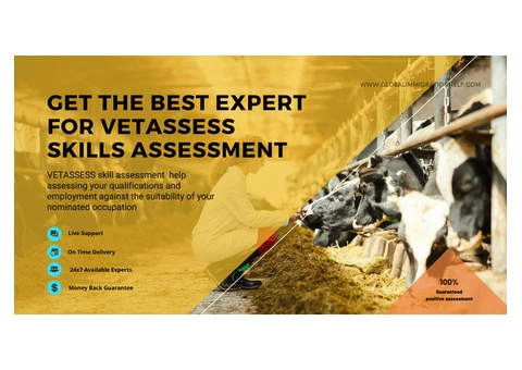 Are you looking for help for the VETASSESS Skill assessment? Get it from experts! - 1/3