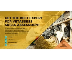 Are you looking for help for the VETASSESS Skill assessment? Get it from experts!