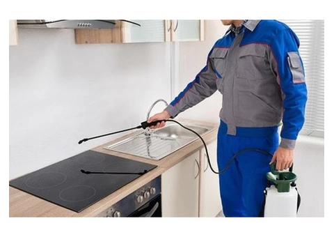 Pest Control Bracken Ridge - 4/6