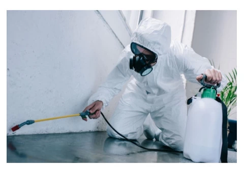 Pest control Services Near Me