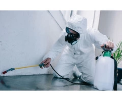 Pest control Services Near Me