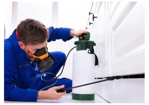 Pest Control Burleigh Waters - 3/6