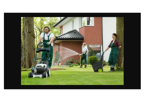 Dead Animal Removal Perth