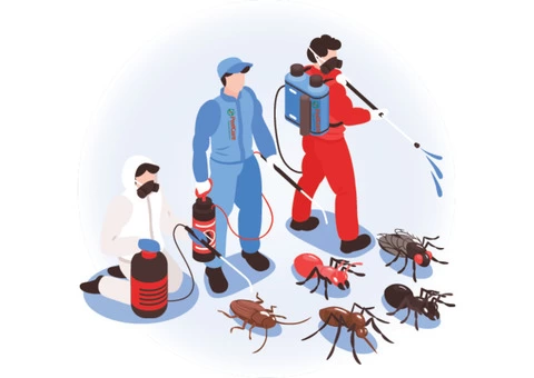 Pest Control Randwick - 1/4