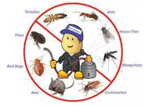 Pest Control Randwick - 2/4