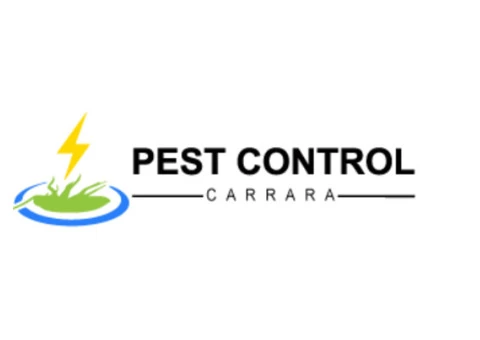 Pest Control Carrara - 1/5