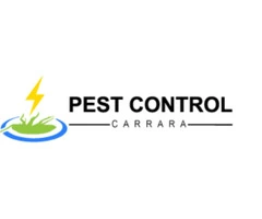 Pest Control Carrara