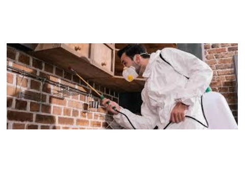 Pest Control Carrara - 3/5