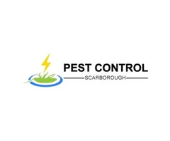 Pest Control Scarborough