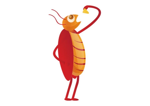 Pest Control Wahroonga - 4/7