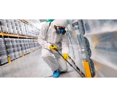 Pest Control Seven Hills