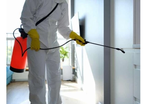 Pest Control Seven Hills - 2/7