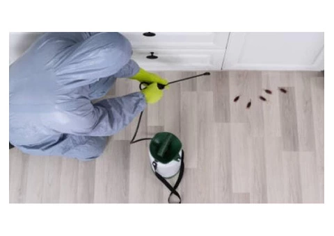Pest Control Seven Hills - 4/7