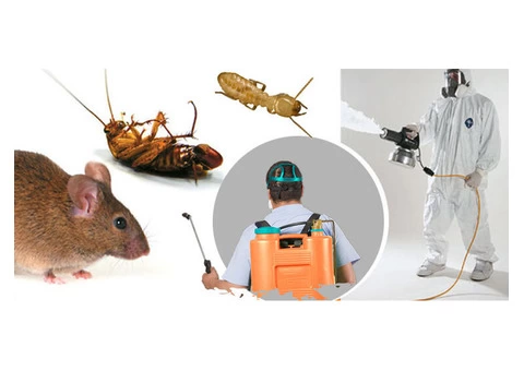Pest Control Kallaroo