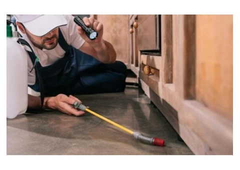 Pest Control Mosman Park - 6/8