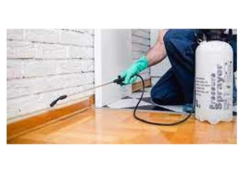 Pest Control Subiaco - 3/8