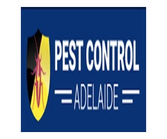 Possum Removal Adelaide