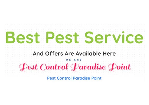 Pest Control Paradise Point - 2/7