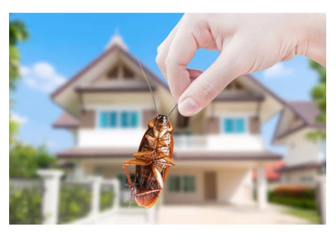 Pest Control Kogarah - 8/8