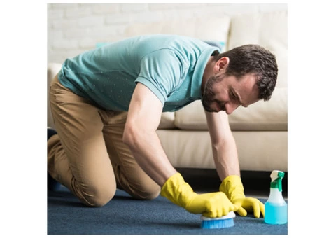 Professional Carpet Stain Removal in Balwyn by Industry Experts