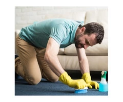Professional Carpet Stain Removal in Balwyn by Industry Experts