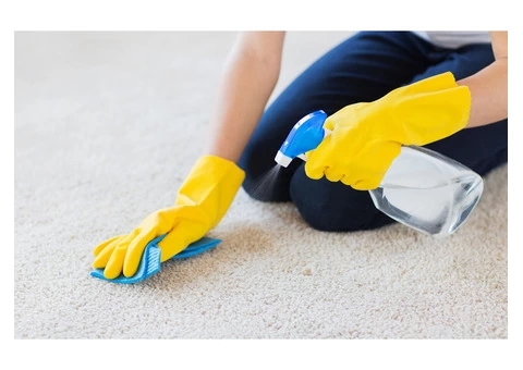 Professional Carpet Stain Removal in Balwyn by Industry Experts - 2/2
