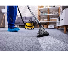Carpet Cleaning Buderim