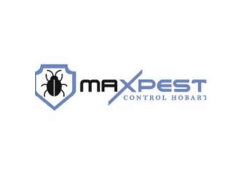 Pest Control Spiders Hobart - 1/8